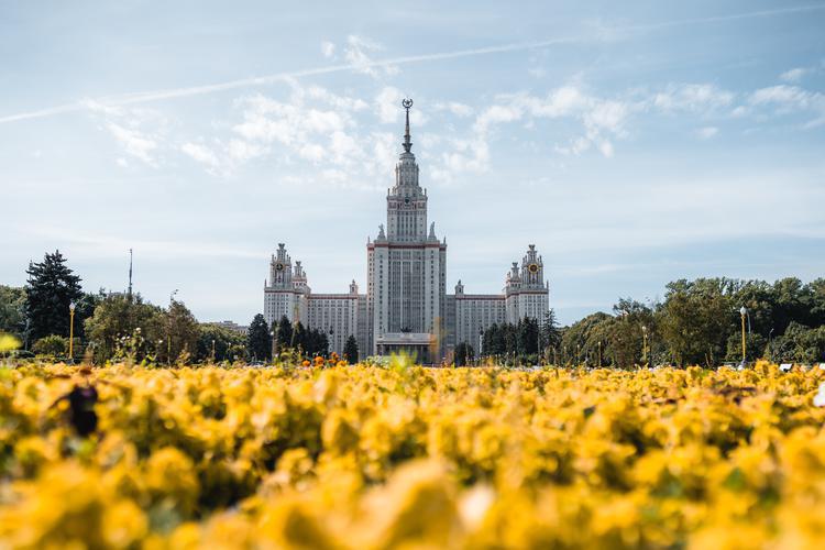 Поезд| Душа Москвы: истории и улицы из Курска
