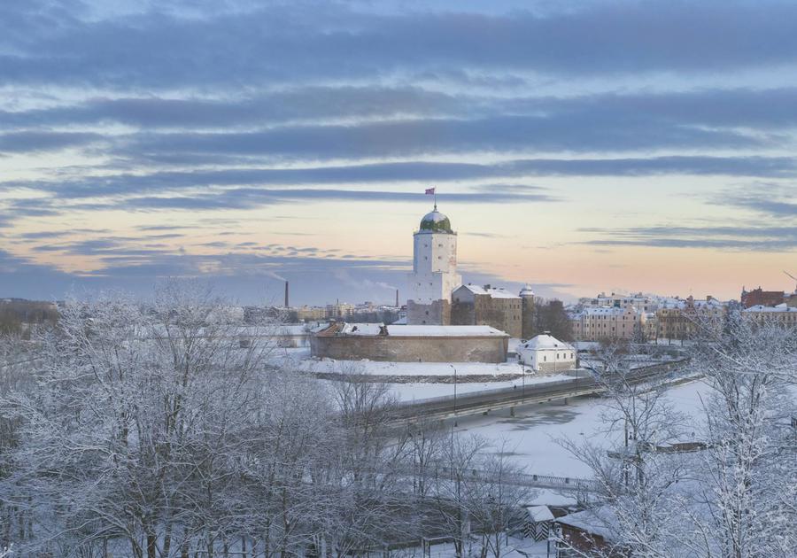 Огни зимнего Петербурга 3 дня