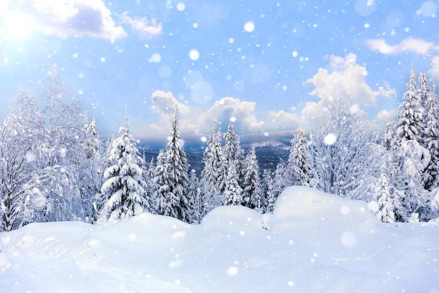 Автобус| Рождественское чудо в хрустальных просторах Алтая из Москвы