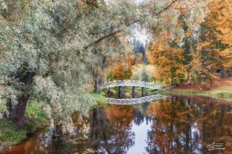 Деревянные сказки и каменные молитвы провинции