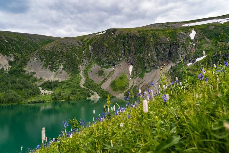 Камчатка за пределами карты