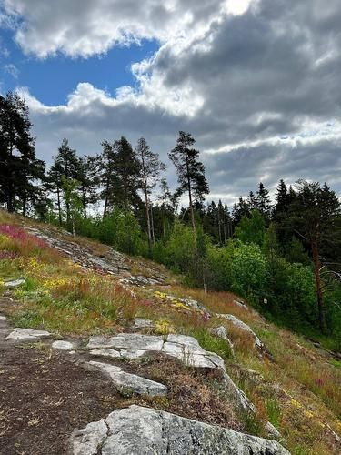 Псков 7 дней с отдыхом на Псковском озере