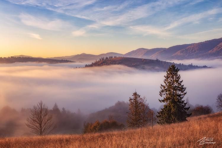 Новый год, как в балладе Шахрияра