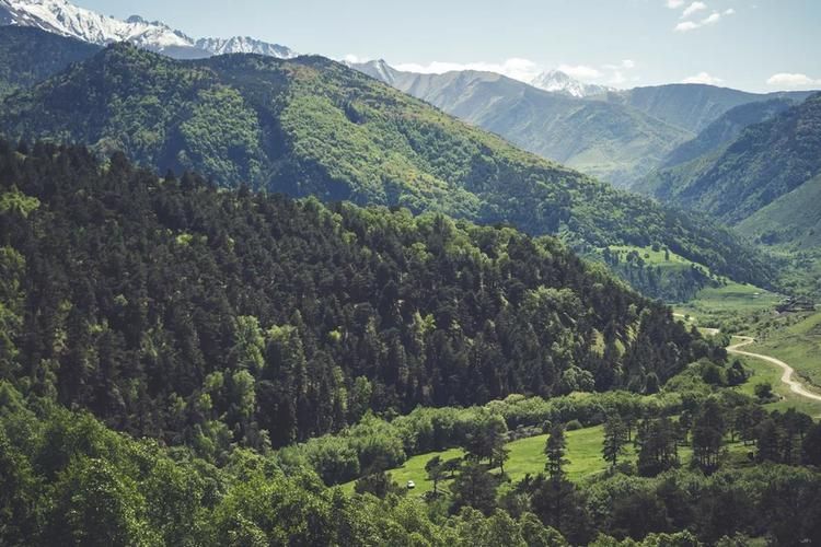 Самарканд в огнях Рождества: Где восток встречает Новый год