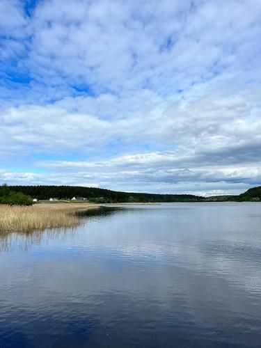 Автобус | Три Республики: Мордовия - Чувашия - Марий Эл из Воронежа (промо)