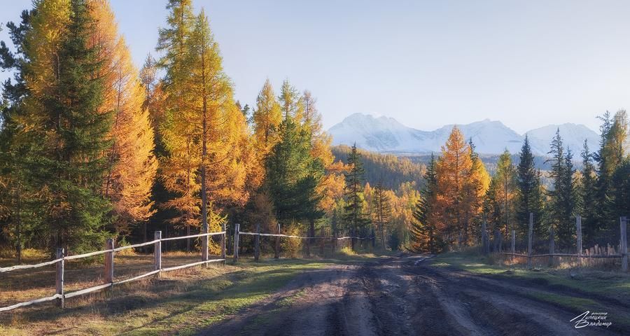 Relax в глемпинге Чемальского района