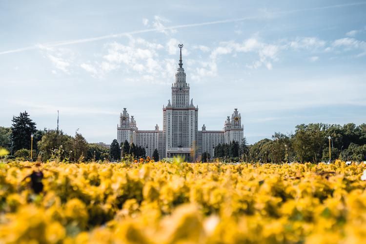 Поезд| Душа Москвы: истории и улицы из Курска