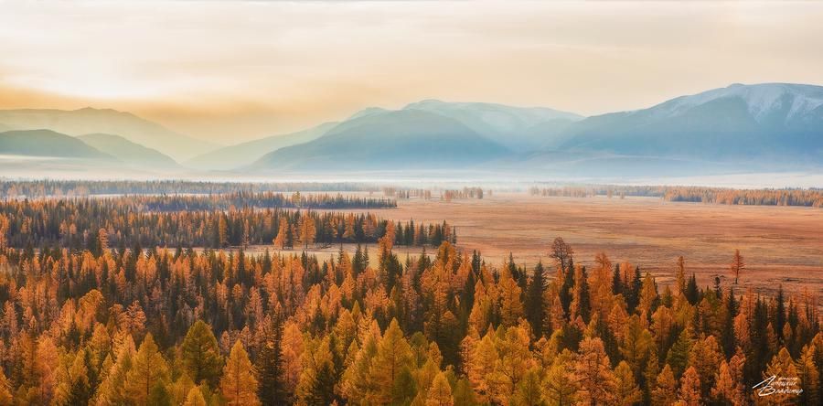 Пейзажи Алтая