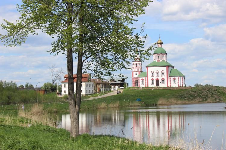 Под княжеским стягом