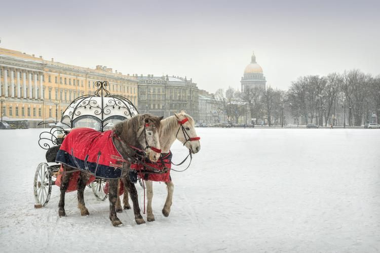 Светлая магия Рождества в Петербурге