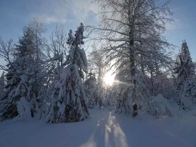 Автобус| Губерния зимой: в гостях у Нового года, огней и гостиной атмосферы