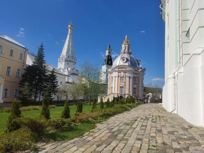 Под княжеским стягом