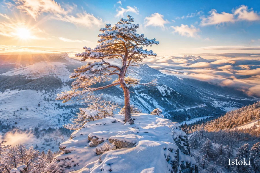 Автобус| Рождество в сердце Ирыстона: путешествие в Южную Осетию из Москвы