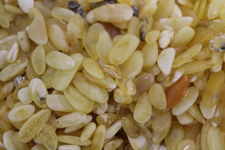 Каждый оттенок — история, которую не расскажешь, только почувствуешь