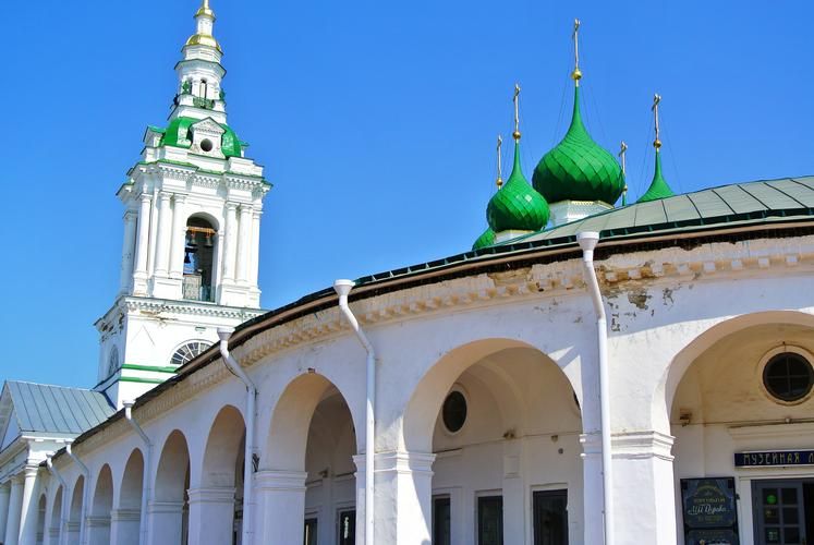 Автобус| Костромской край — где каждая тропа шепчет историю