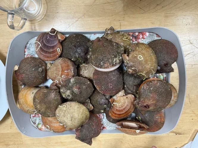 Тайны арктической кухни: путешествие по Кольскому