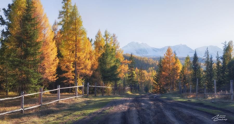 Алтай. Время начать заново
