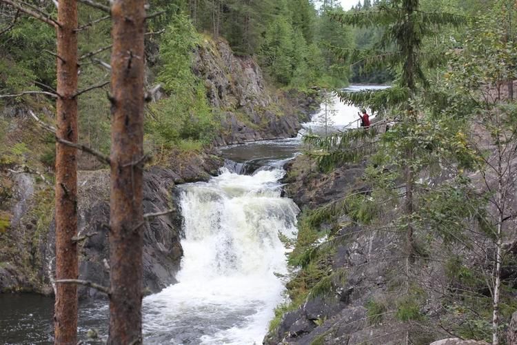 Автобус| Карелия — вдохновение на всю жизнь