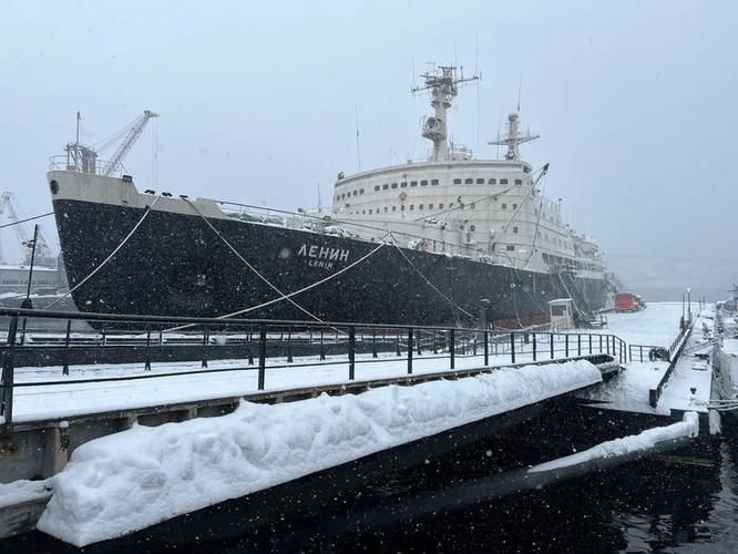 Китовое сафари в Териберке