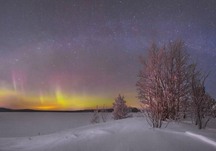 Автобус| Рождество в лесу братьев Гримм из Нижнего Новгорода
