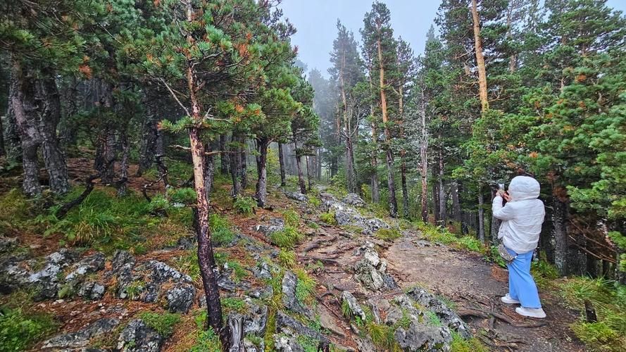 Зелёное сердце Кавказа: путешествие по Адыгее