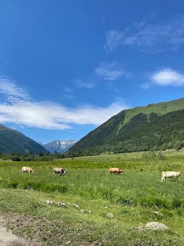 Солнечная Грузия: море и горы в одном путешествии